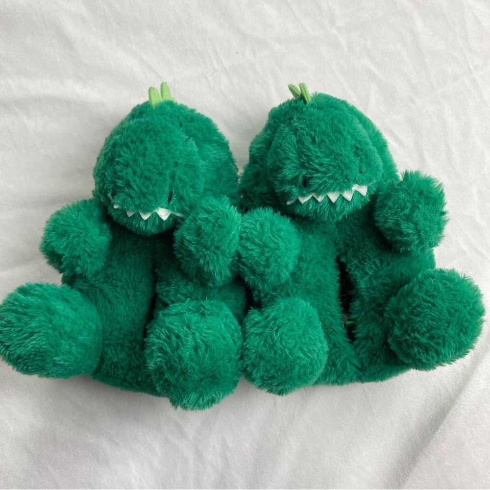 Toddler 6/7 Dinosaur Slippers